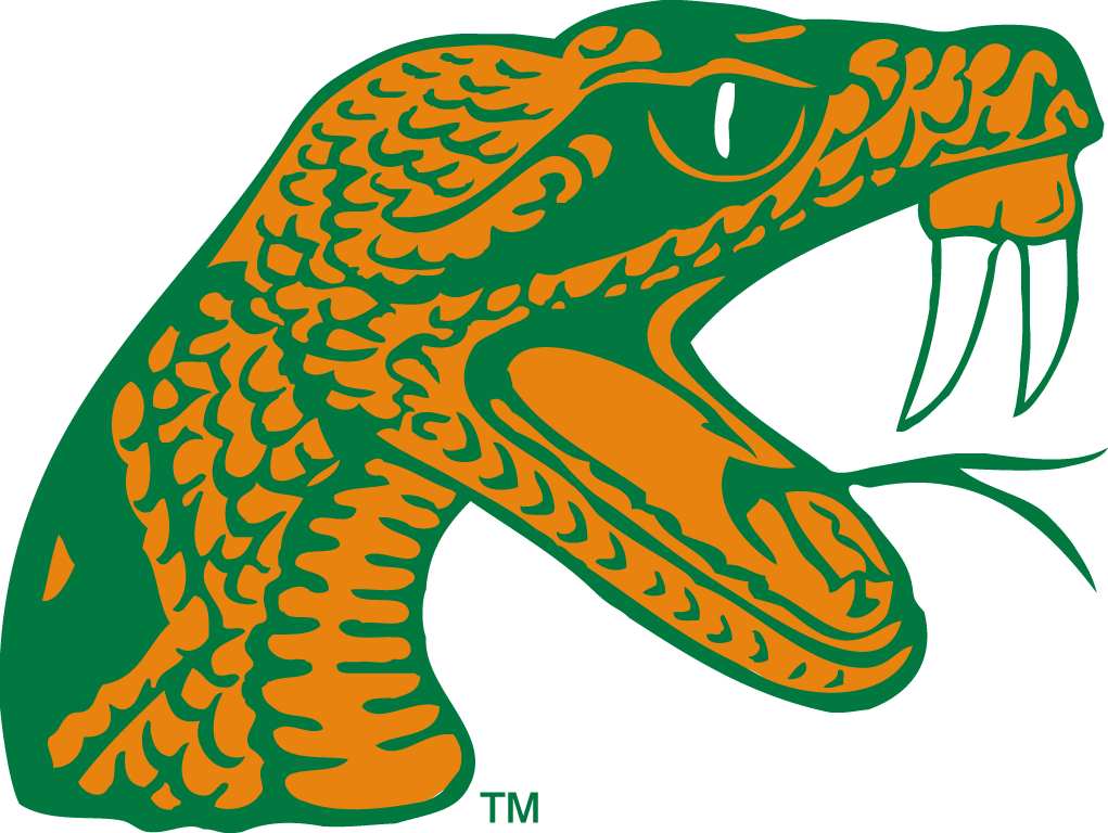 Florida A&M Rattlers 2006-pres alternate logo iron on transfers for T-shirts
